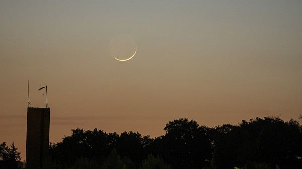 Moon